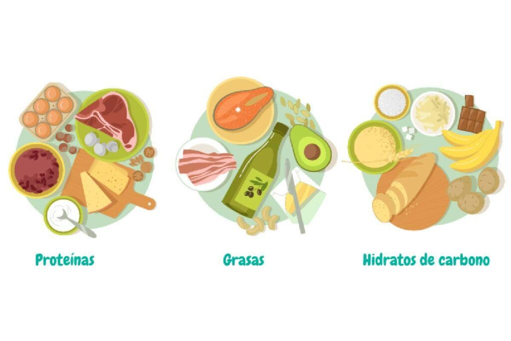 Una alimentación rica y variada para un aporte de micronutrientes y macronutrientes
