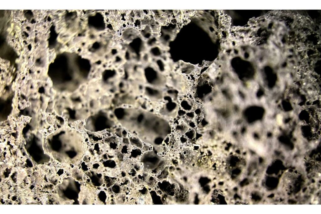 Osteoporosis claves prevencion