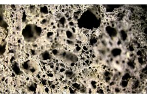 Osteoporosis claves para entender cómo funciona el hueso