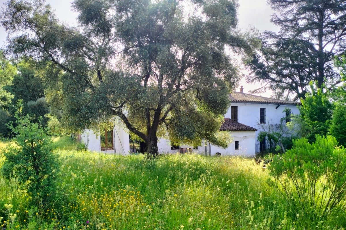 Retiro Sistema nervioso